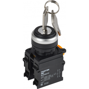 Переключатель с ключом на 2 положения IEK MASTER MI-SW60-11Y-3-34-2-K02 1NO+1NC чёрный